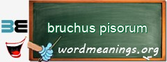 WordMeaning blackboard for bruchus pisorum